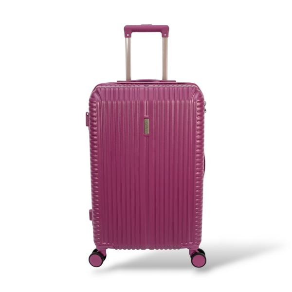 valise aubergine abs